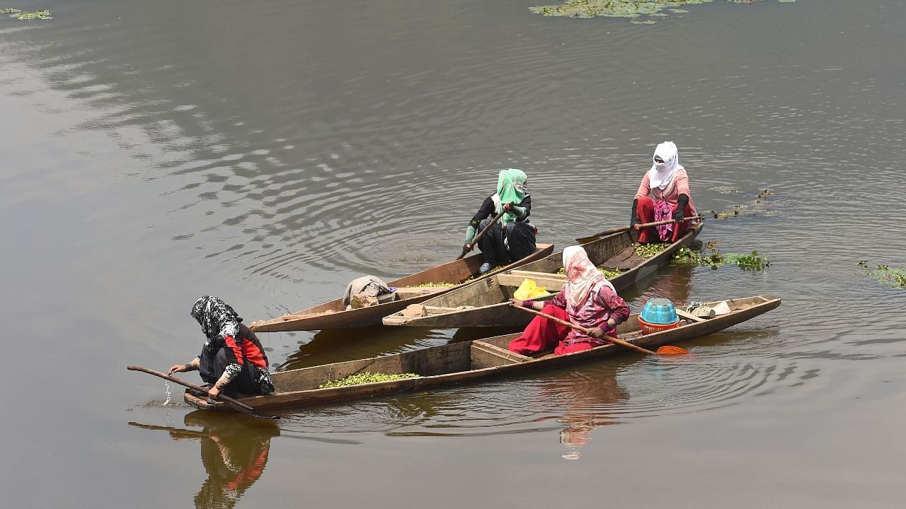Women rowing their boats in Kashmir Credit: PTI Photo