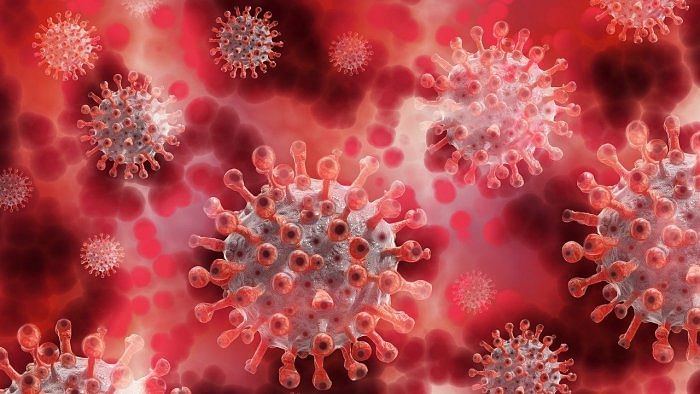 The researchers said these major increases in airborne virus from Alpha infections occurred before the Delta variant arrived and indicate that the virus is evolving to be better at travelling through the air. Credit: Pixabay Photo