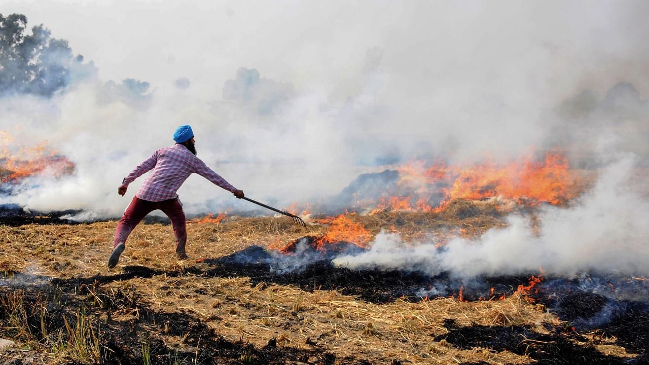 A farmer burns paddy stubble at a farm on the outskirts of Amritsar. Credit: PTI File Photo