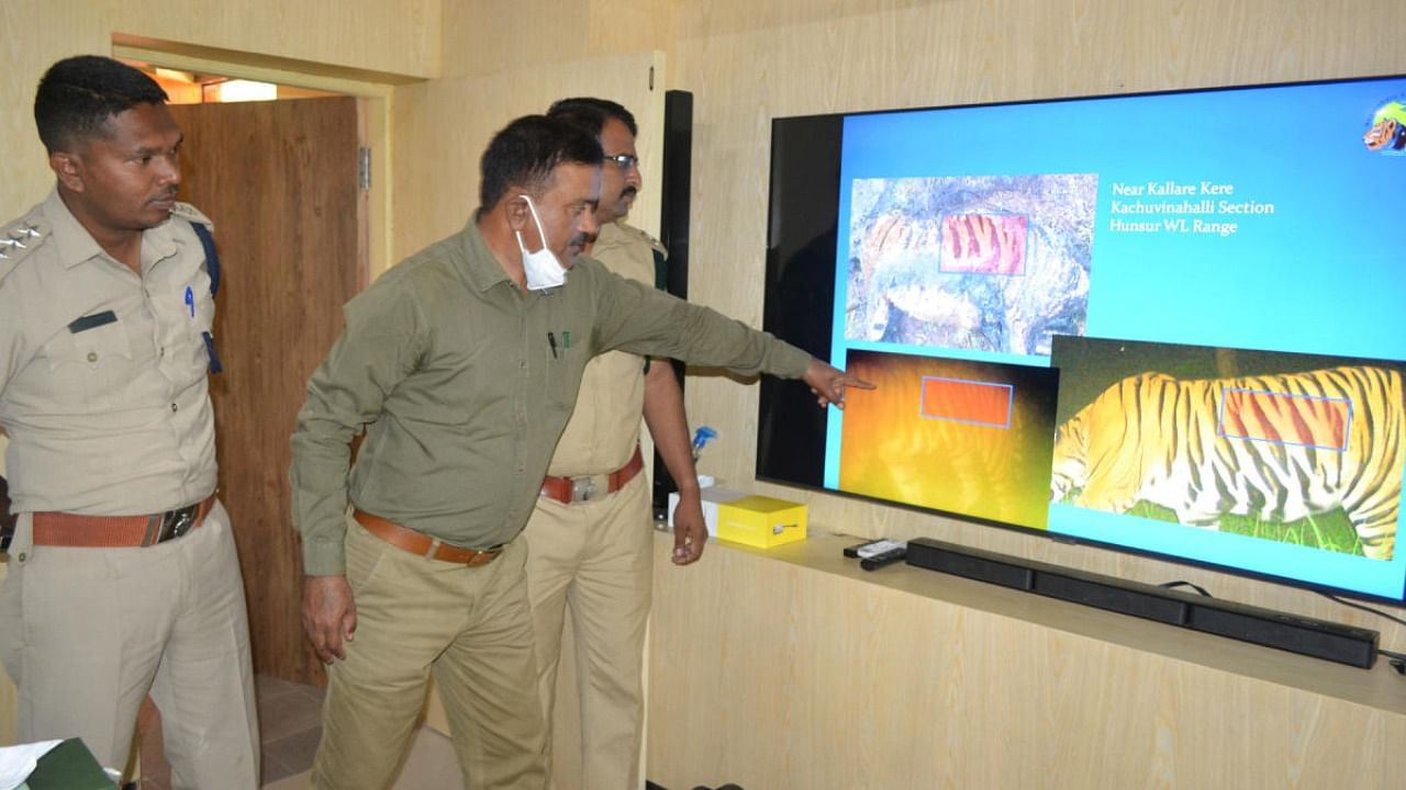 ACF Sathish Kumar explains the camera trapping of the tiger in Hunsur on Tuesday. Credit: DH Photo