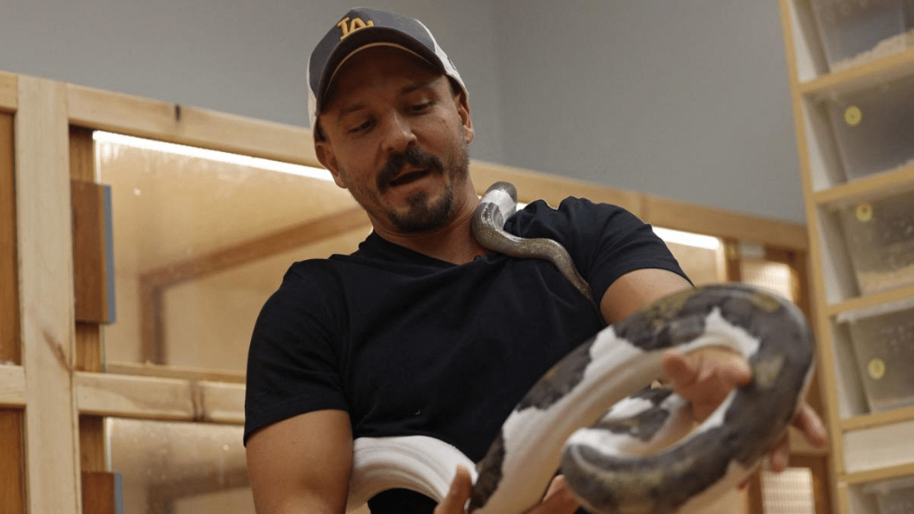 Faisal Malikah carries a Reticulated Python at his house in the Saudi Red Sea resort of Jeddah. Credit: AFP Photo