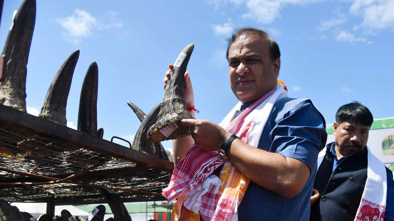 Assam Chief Minister, Hemanta Biswa Sarma (L), holds a seized rhino horn near a furnace before burning them in an anti-poaching drive to mark World Rhino Day near the Kaziranga National Park in Bokakhat on September 22, 2021. Credit: AFP Photo