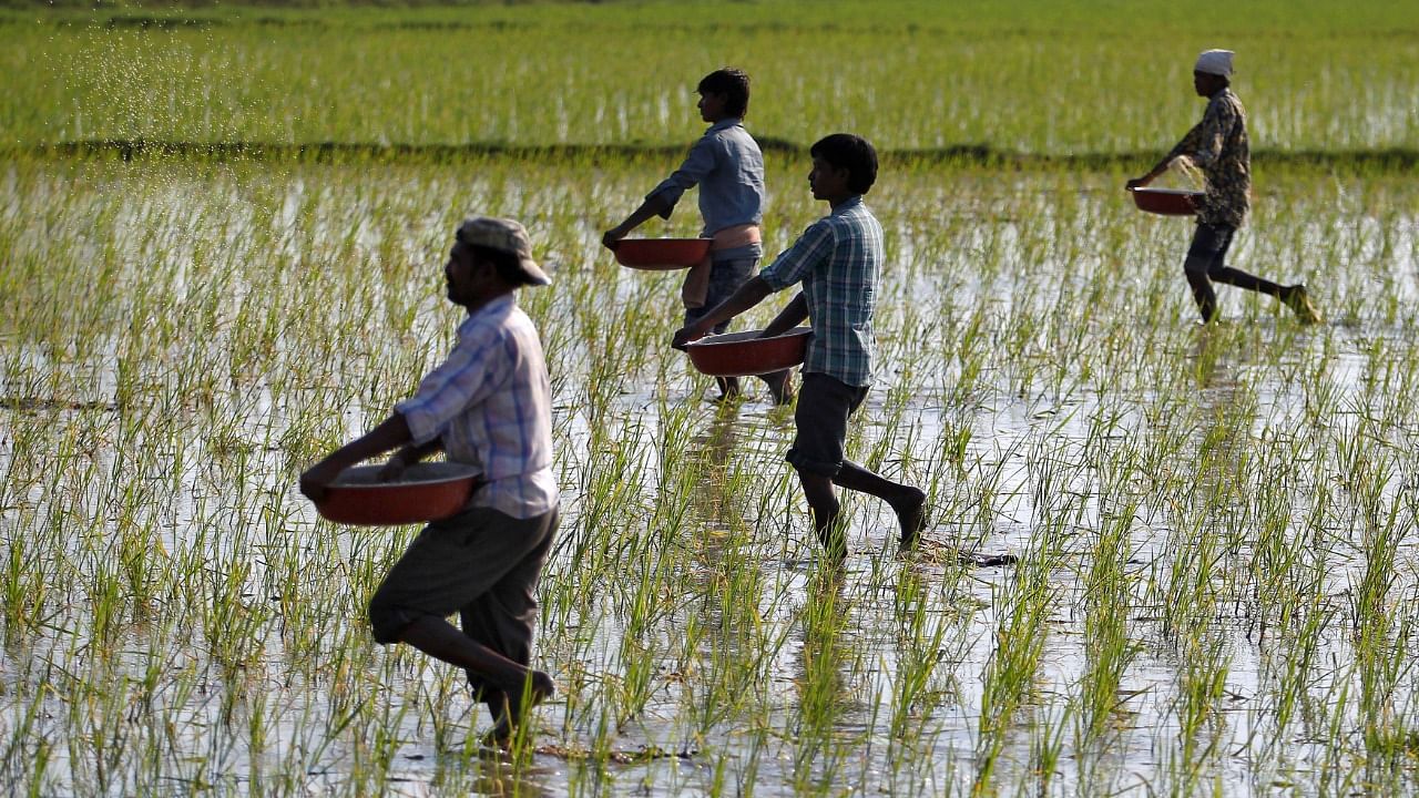 Representative Image. Credit: Reuters File Photo