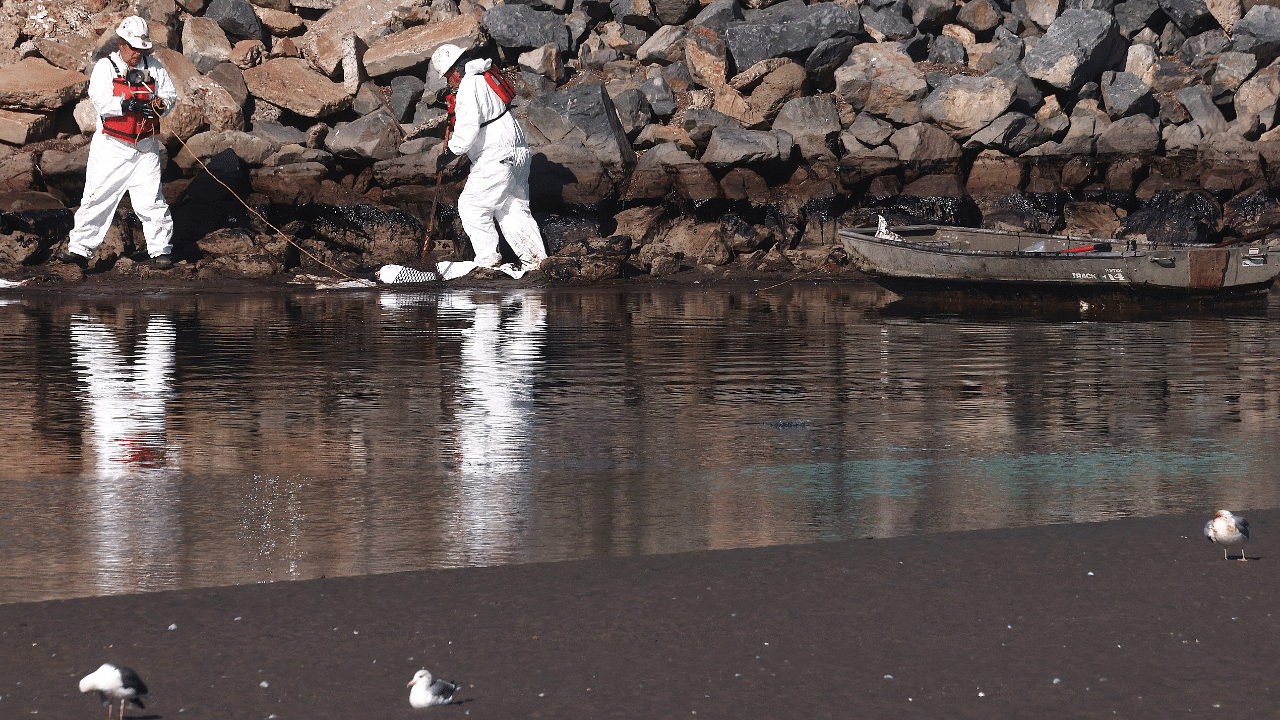Cleanup workers attempt to contain oil which seeped into Talbert Marsh, home to around 90 bird species. Credit: AFP Photo