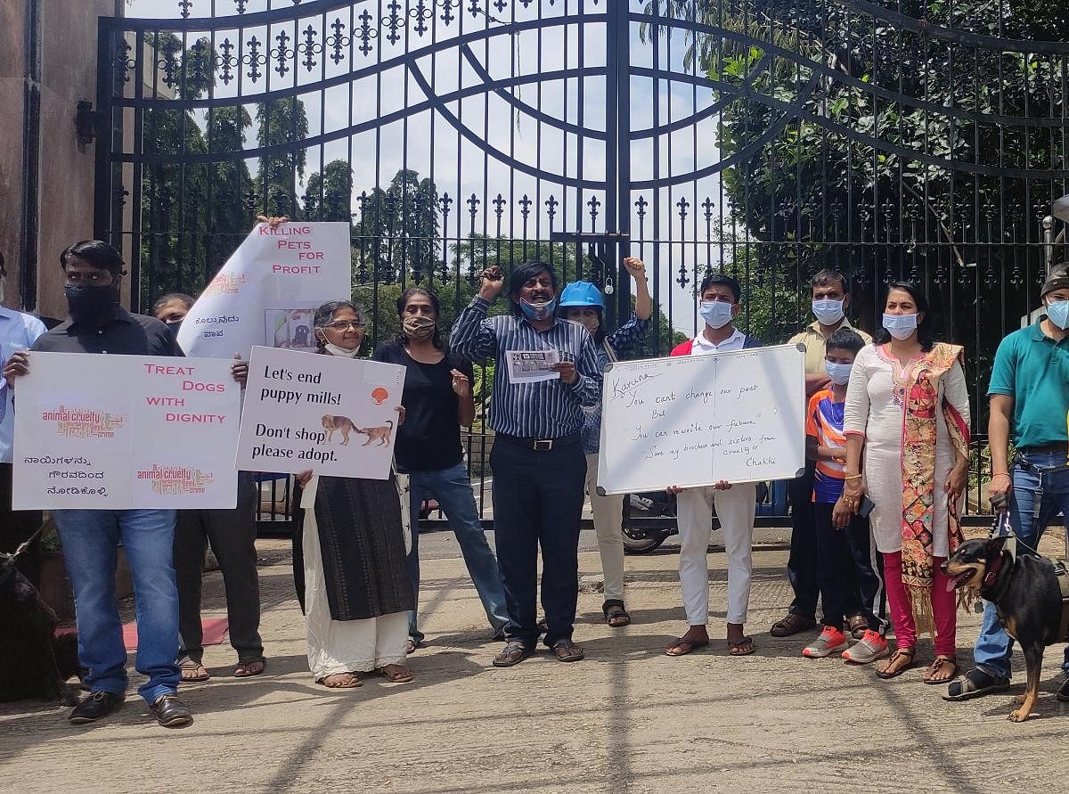 About 30 animal rescuers and activists demonstrated against Karuna Animal Shelter outside the Veterinary College in Hebbal on Saturday. The shelter is inside.