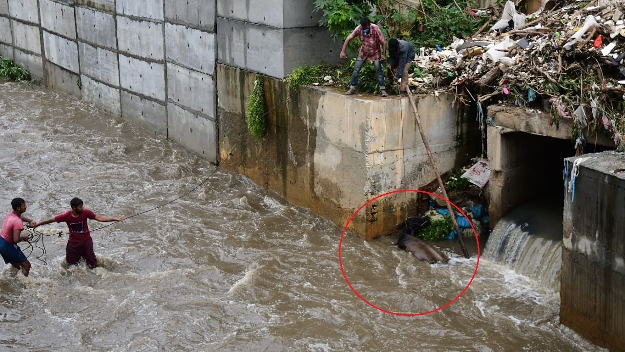 'The drain is nearly 8-9 feet deep and the current was strong,' one of the youths said. Credit: Special Arrangement