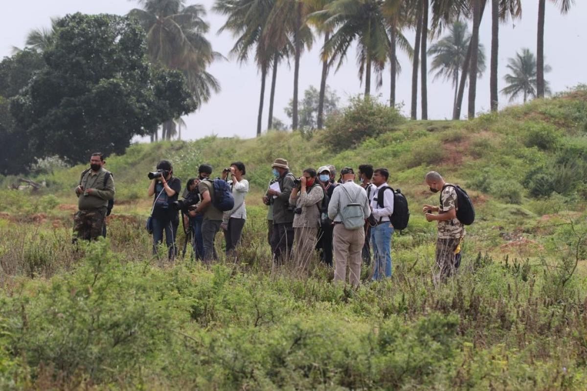 A group of 40 headed to Sonnapura Lake near Chikkaballapur on a bird walk on October 3. They were celebrating Bengaluru Bird Day. Photo by Arun Chikkaramarappa