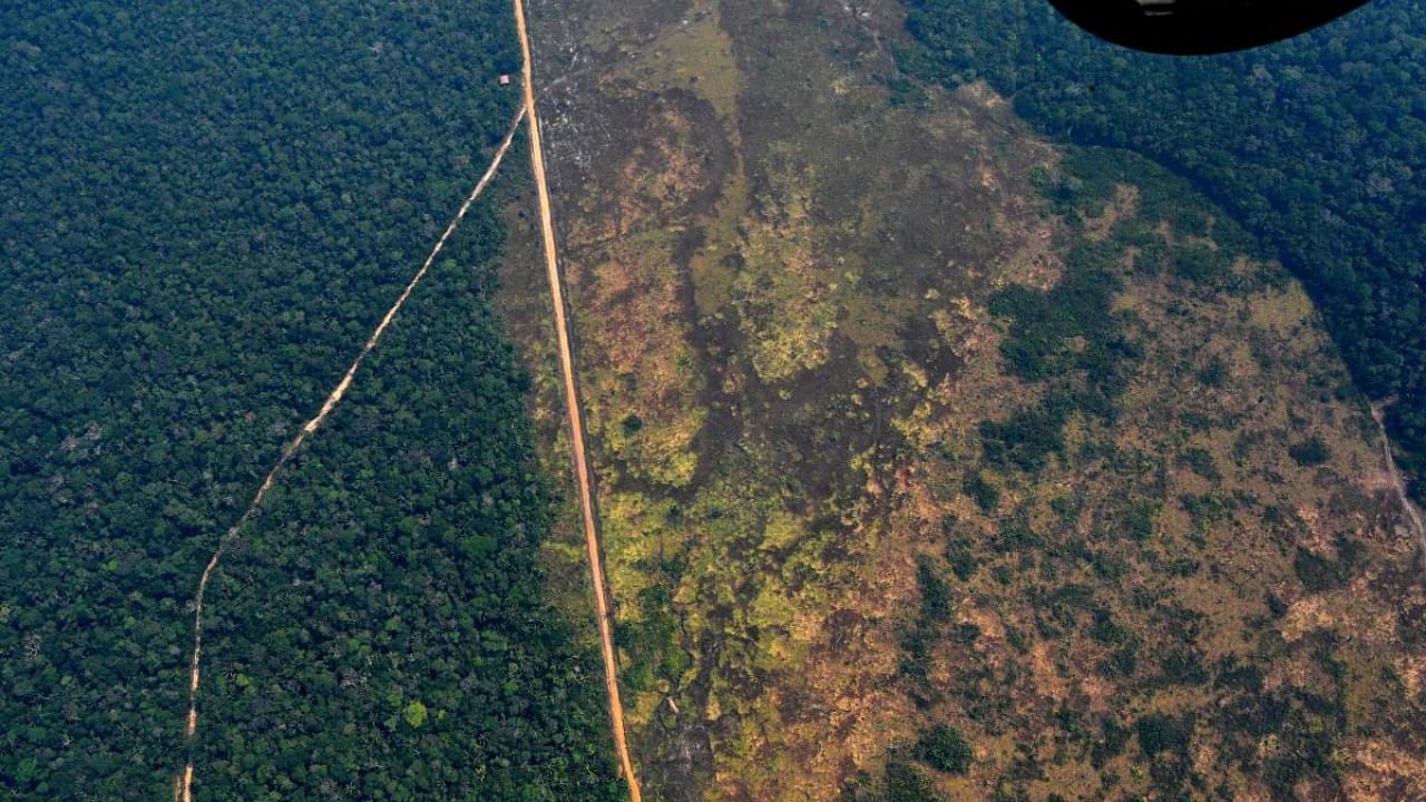 Aerial picture showing a deforested piece of land in the Amazon rainforest. Credit: AFP File Photo