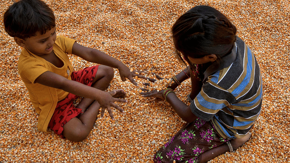 Children play on shelled corn kernels spread out for drying on an empty road stretch in Gauribidanur situated about 80kms north of Bangalore. Credit: AFP Photo