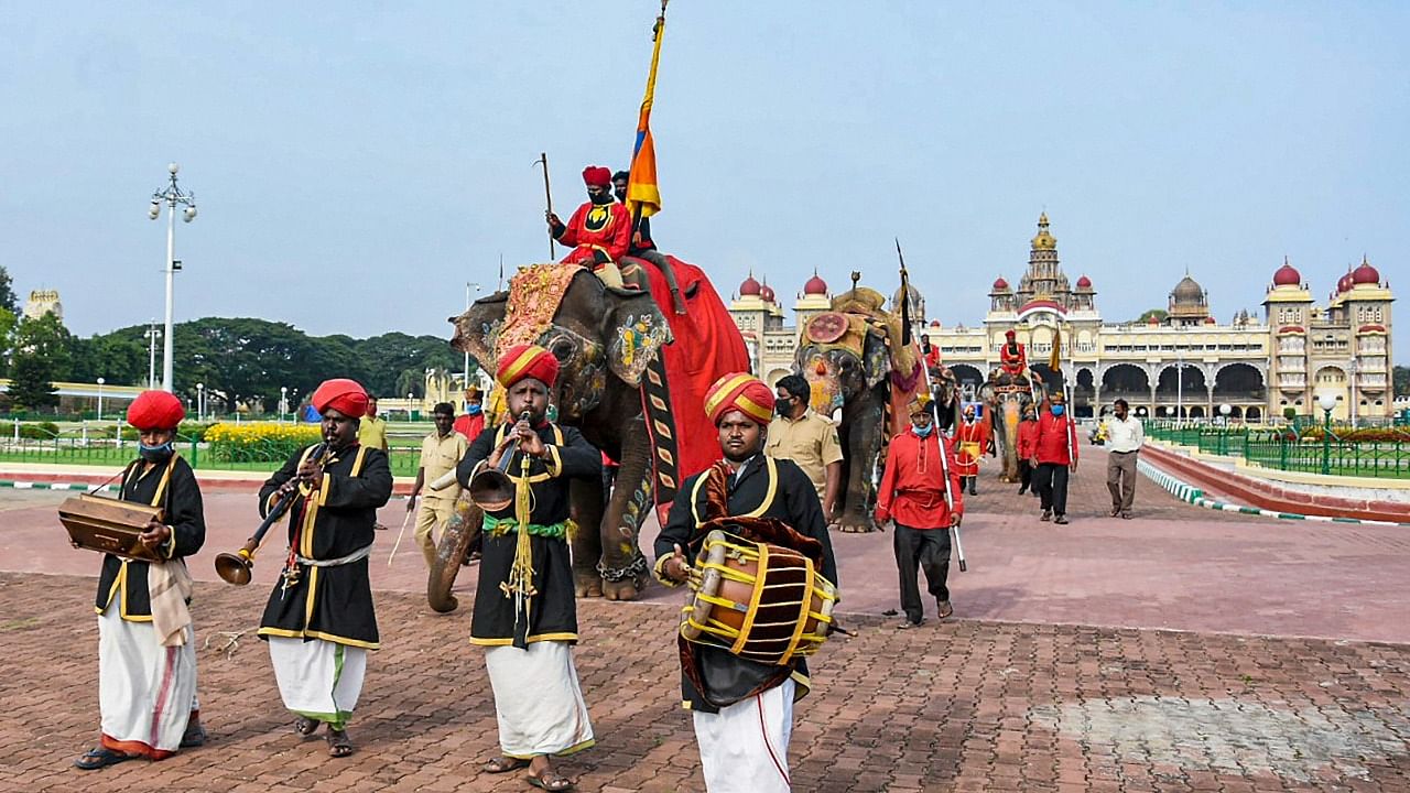 Mahouts train their respective elephants ahead of 'Jamboo Savari' during the Mysuru Dasara festival, in Mysuru. Credit: PTI File Photo