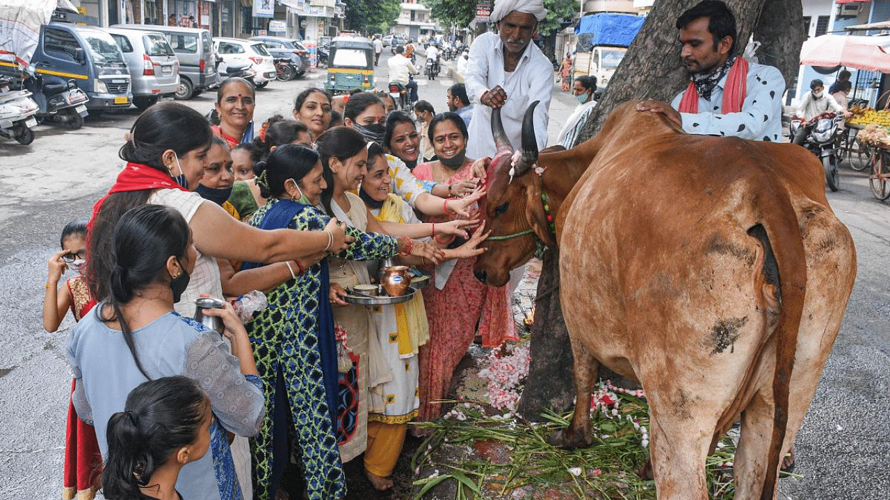 Representative image. Credit: PTI Photo