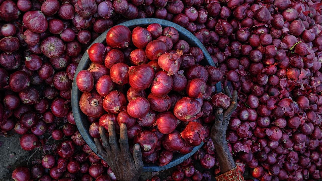 In retail markets, onion was ruling at Rs 42 per kg in Chennai, Rs 44 per kg in Delhi, at Rs 45 per kg in Mumbai and Rs 57 per kg in Kolkata on October 14. Credit: PTI File Photo