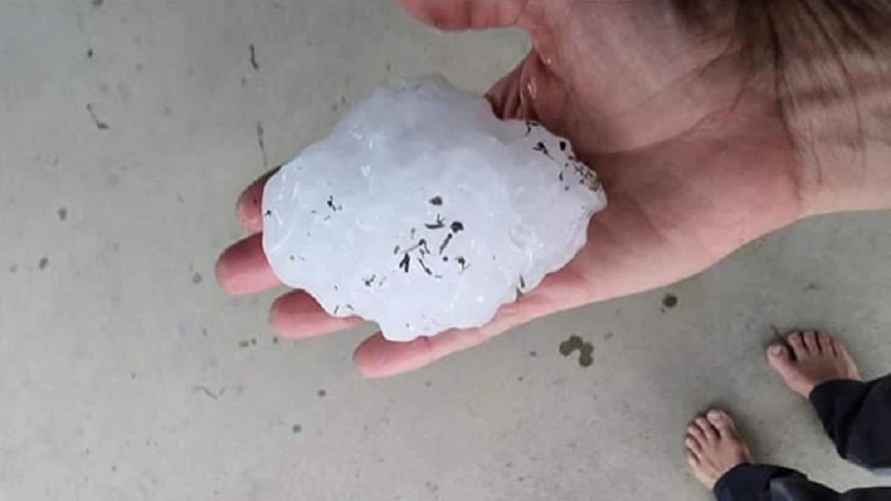 A man holds a 'grapefruit-sized' hailstone that pounded the Australian town of Yalboroo. Credit: Twitter/@extremetemps