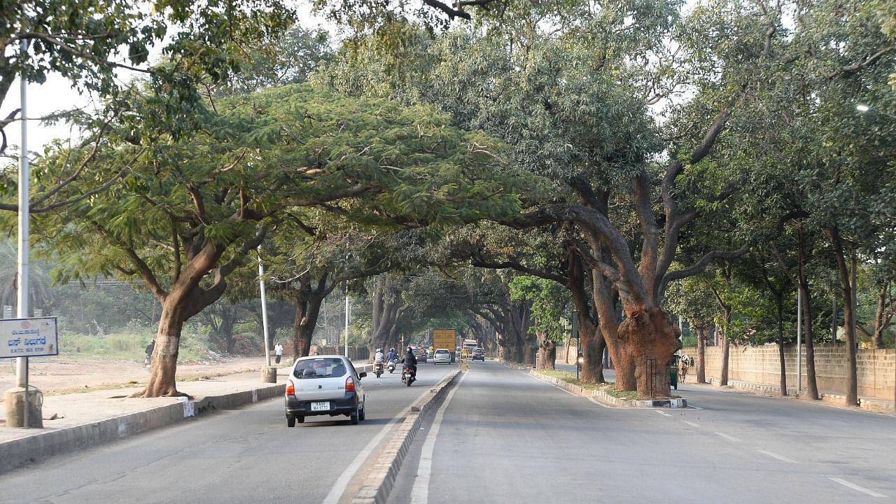 A view of Jayamahal Road in northern Bengaluru. DH Fie Photo