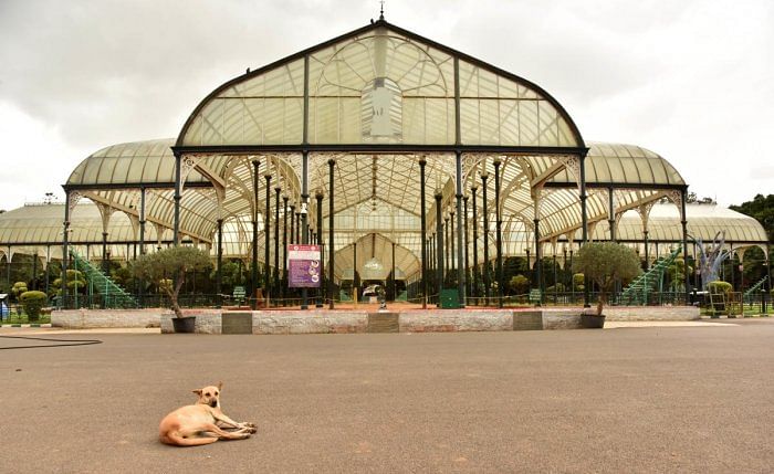 A glass house in Lalbagh. Credit: DH File Photo