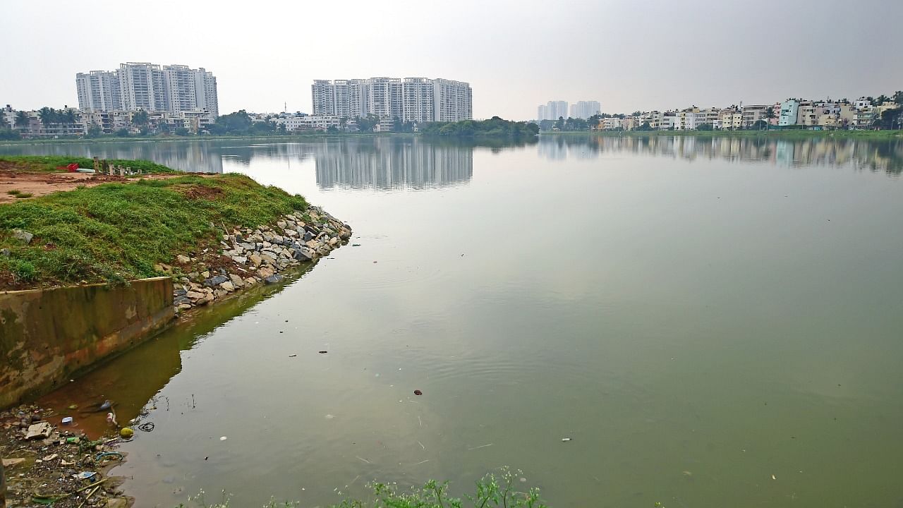 Besides the 18 lakes, the BBMP will be rejuvenating another seven lakes. Credit: DH Photo