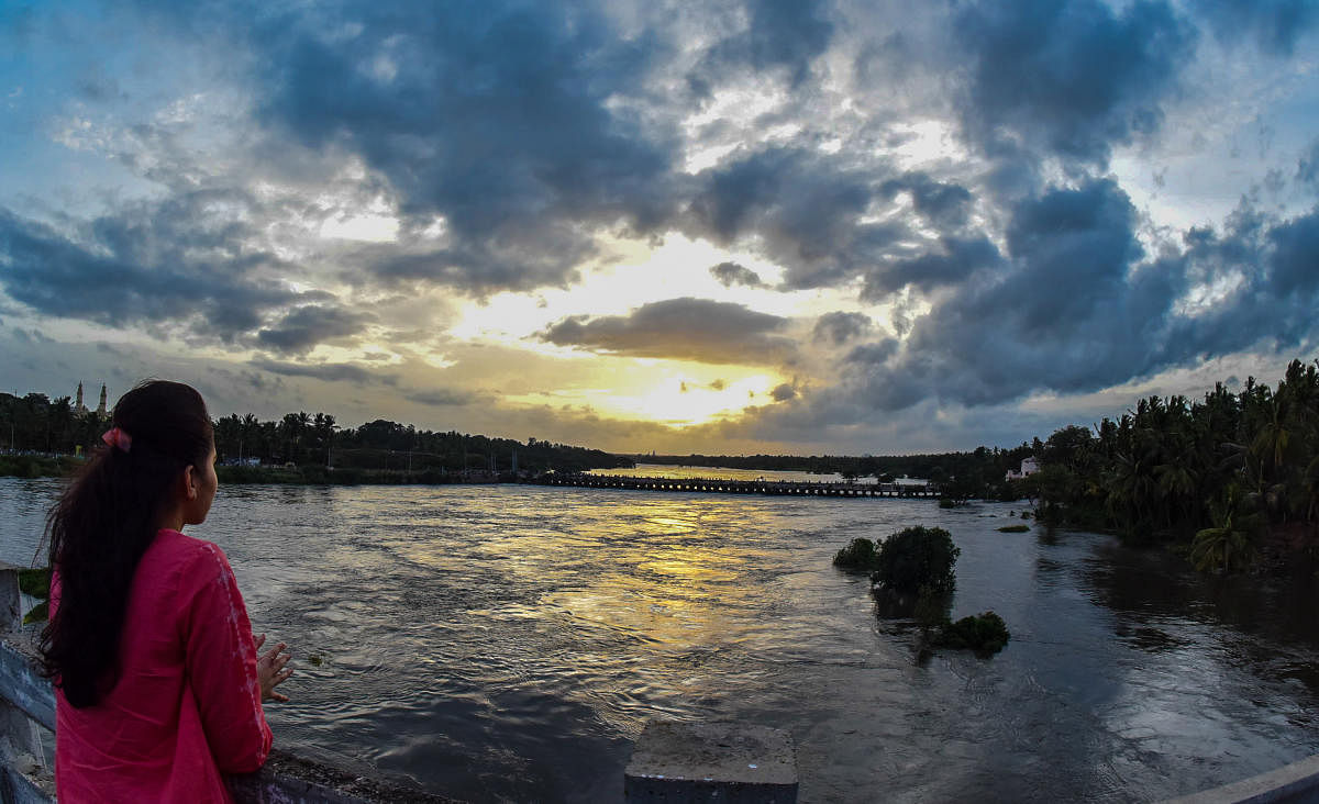 The copious showers this year have brought a false sense of normalcy along the banks of the Cauvery. DH PHOTO/SAVITHA B R