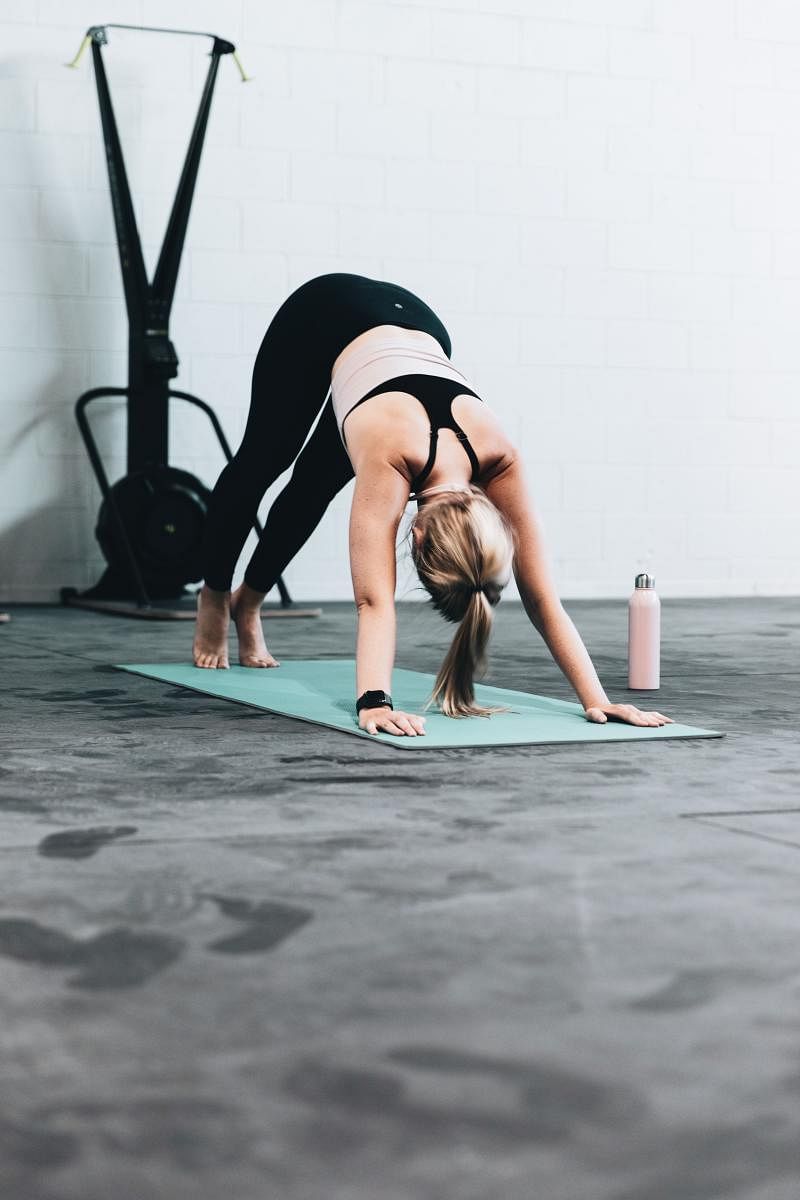 Adomukhi Svanasana or downward dog