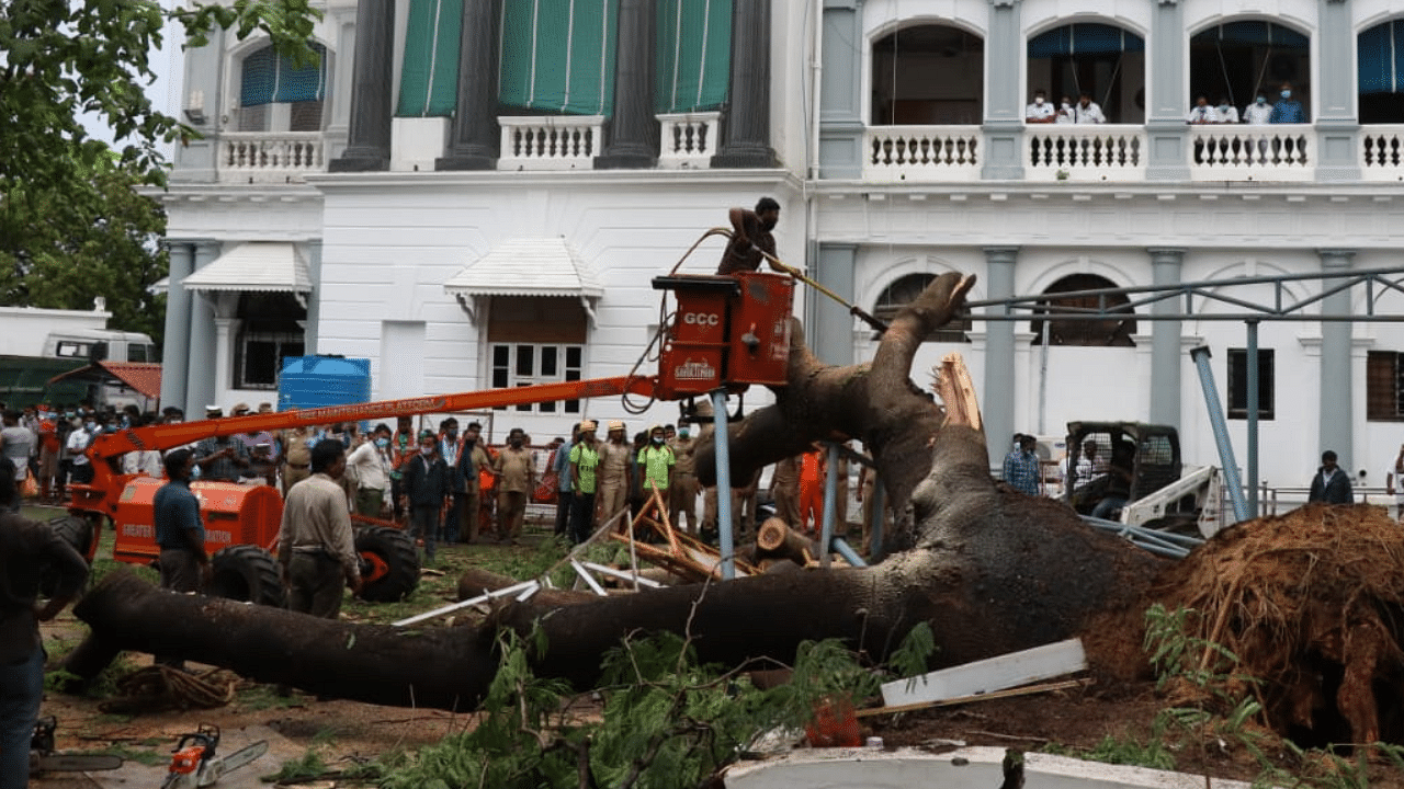 A huge tree fell killing a police woman at the state Secretariat in Chennai on Tuesday. Credit: DH Photo