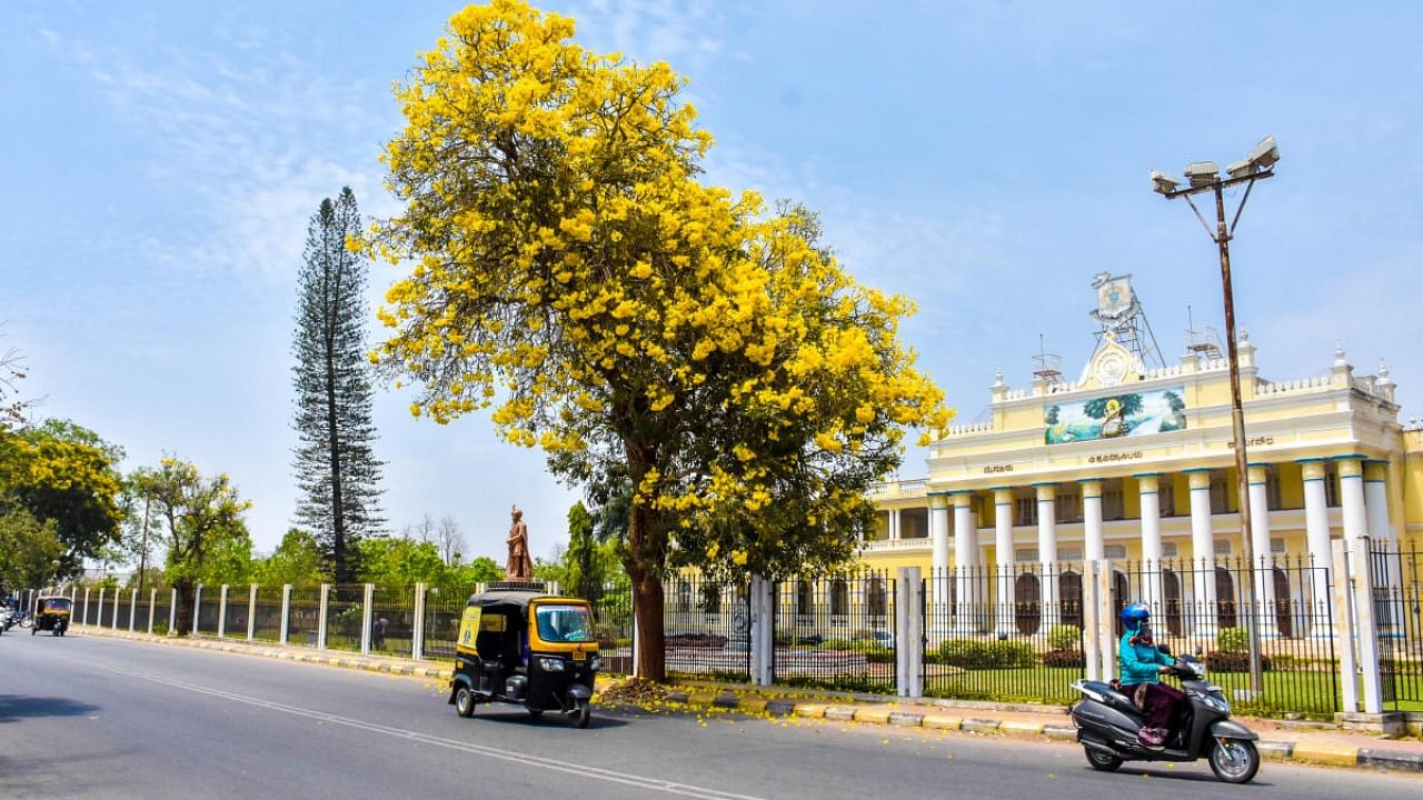 The University of Mysore. Credit: DH file photo