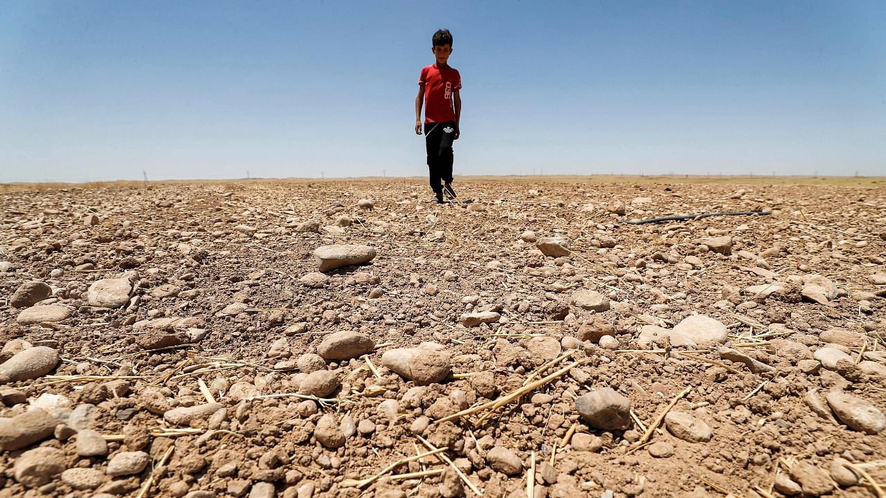 A boy walks through a dried up agricultural field in the Saadiya area, north of Diyala in eastern Iraq. Credit: AFP File Photo