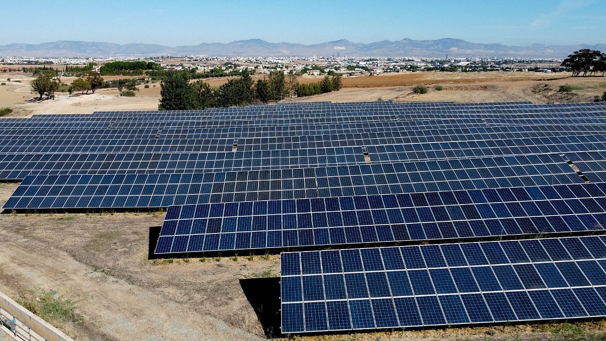 Bees Sheep Crops Solar Developers Tout Multiple Benefits