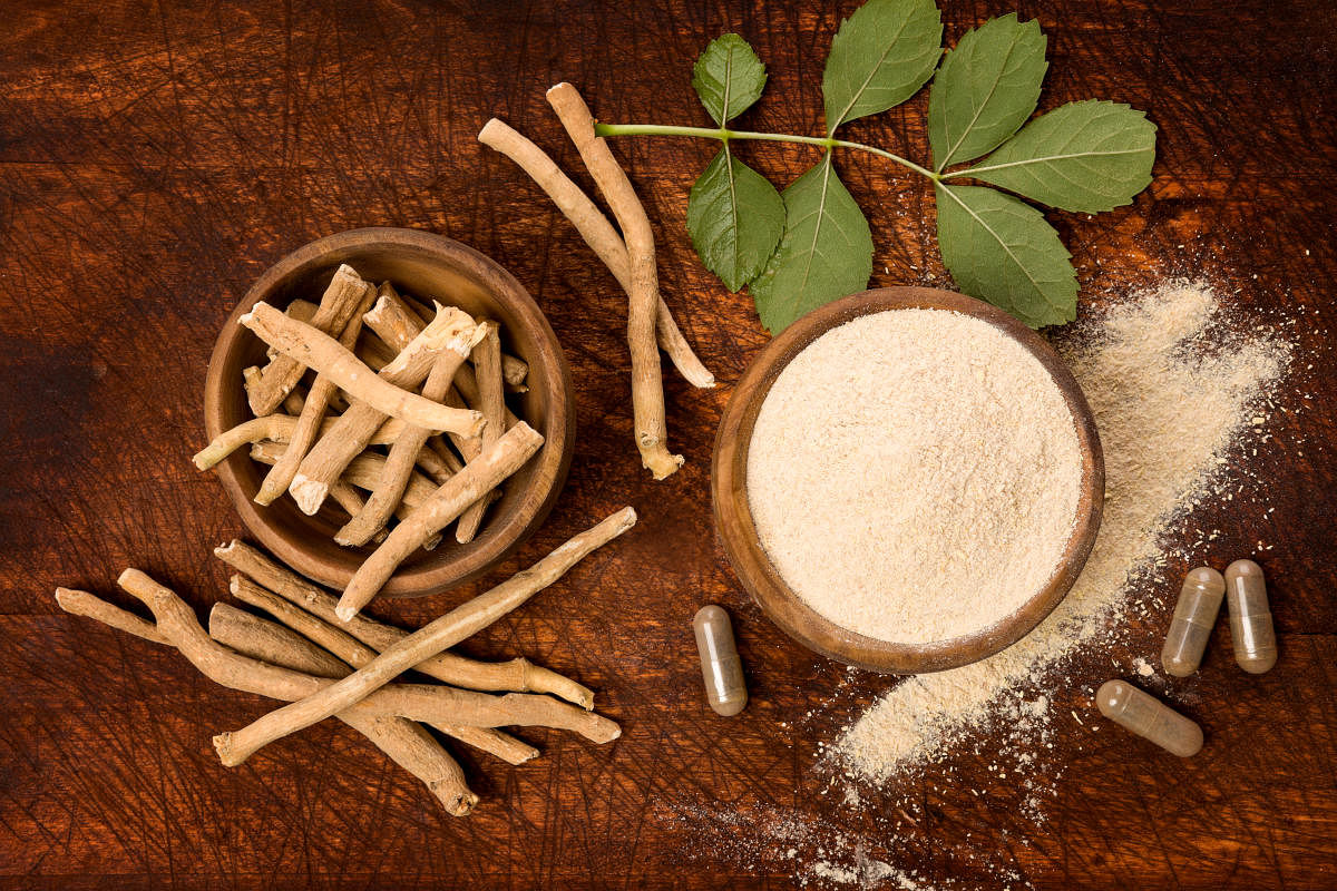 Superfood Ashwagandha in powder and root form