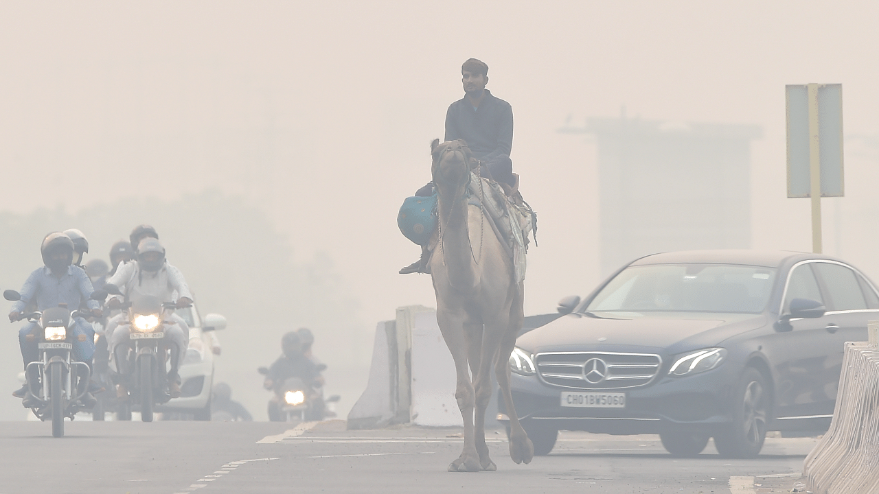 A man rides a camel as traffic plies on a road with headlights on, amid smog in New Delhi. Credit: PTI Photo