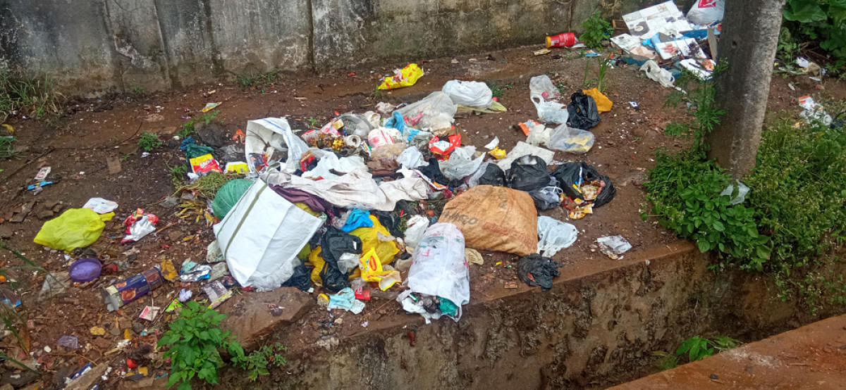Waste dumped beside the road in Suntikoppa.