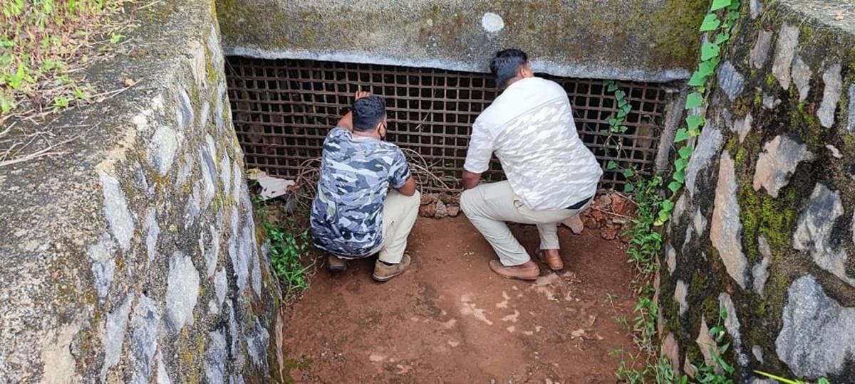 Forest department officials inspect the drainpipe mesh at Mangalore International Airport.