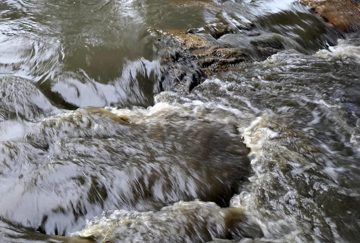 The polluted water following the release of effluents from the coffee pulping unit to a stream in Honavalli.