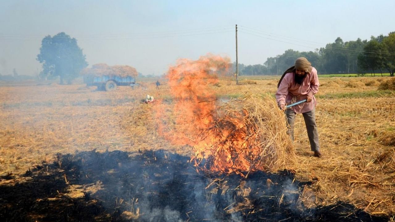A farmer burns paddy stubble at a farm on the outskirts of Amritsar. Credit: IANS Photo