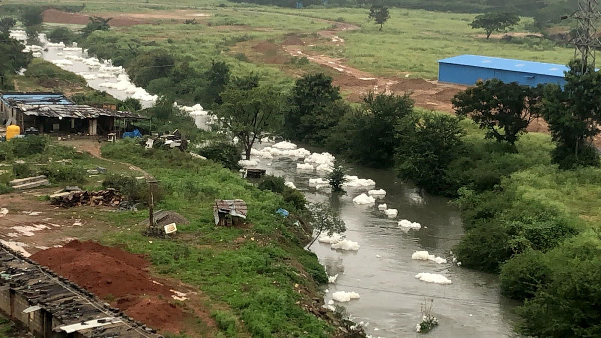 Froth is seen in a stormwater drain in Kadugodi on Wednesday. Credit: Special Arrangement