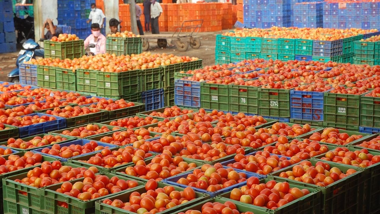In Karnataka, retail prices of tomato are ruling at Rs 85 per kg in Dharwad, Rs 84 per kg in Mysuru, Rs 80 a kg in Mangalore and Rs 78 per kg in Bellary. Credit: DH File Photo