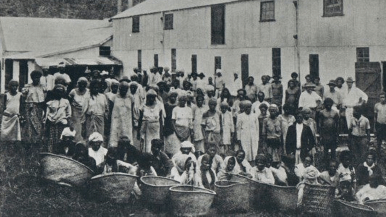Indentured labourers in Fiji - Museum of Fiji, Credit: Girmit.org