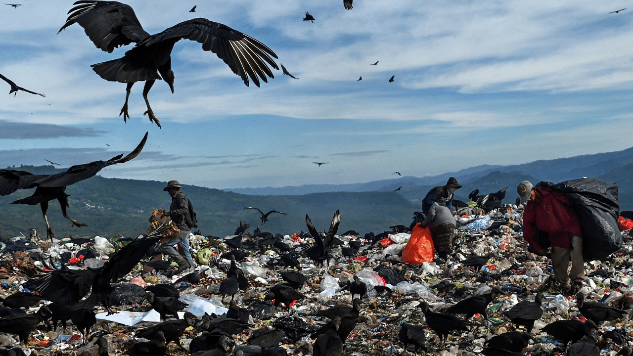 Black voltures are seen at the municipal dump as people search through garbage, in the northern outskirts of Tegucigalpa. Credit: AFP Photo