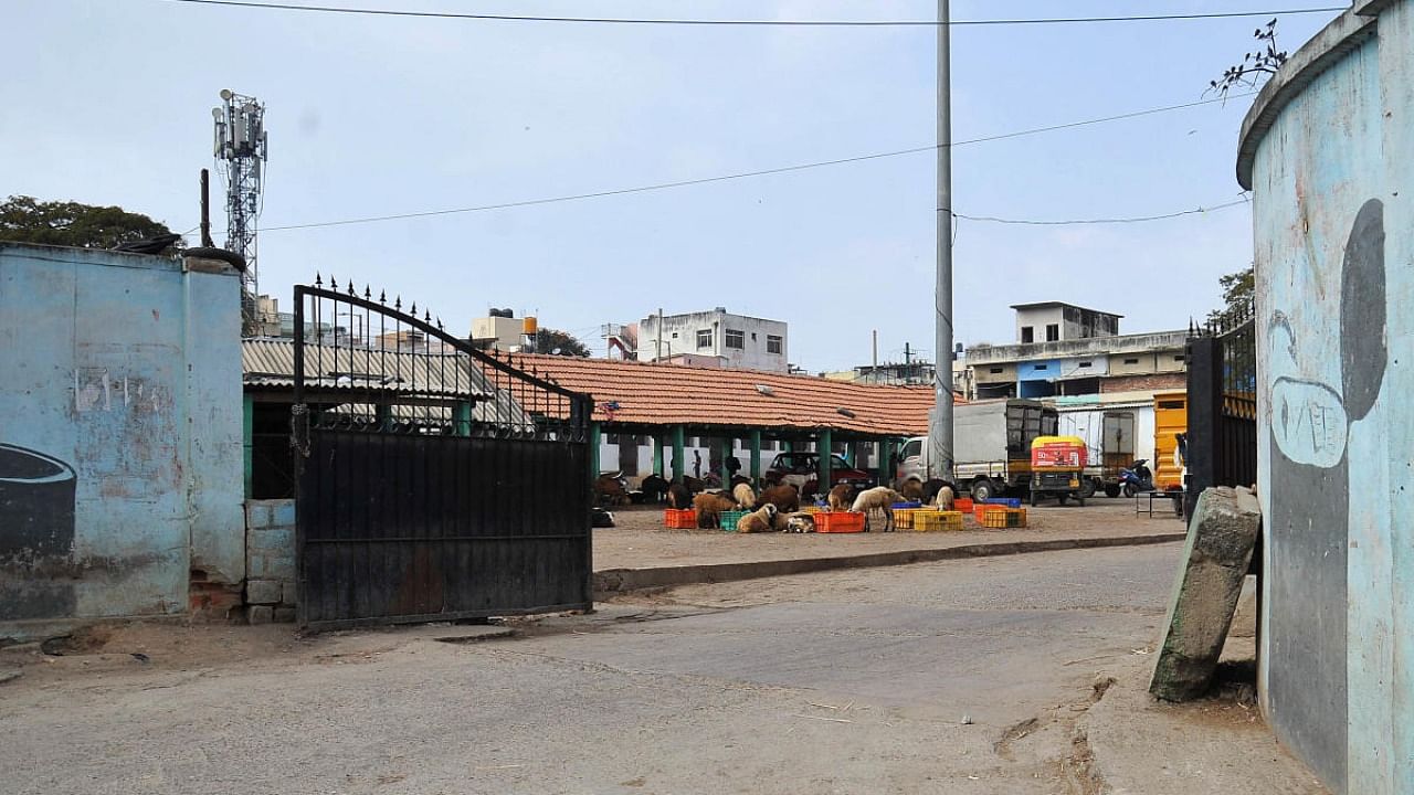 A view of the Tannery Road slaughterhouse. Credit: DH Photo