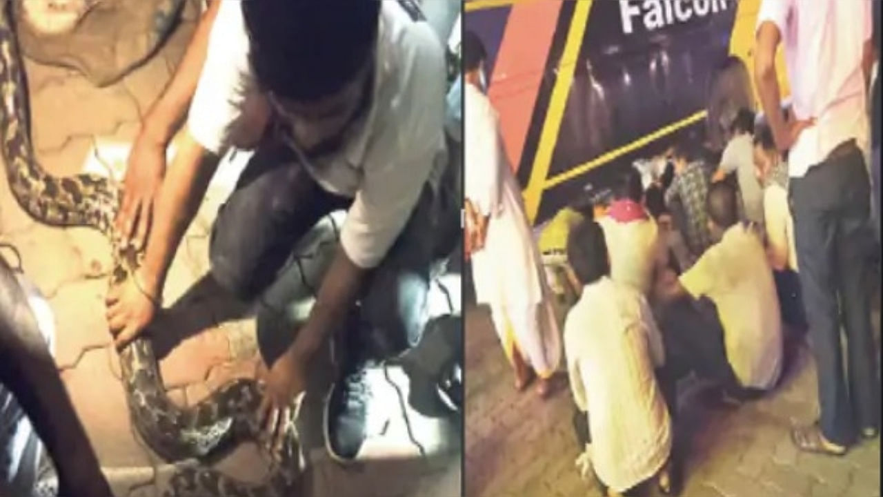After the python's rescue was completed, the passengers heaved a sigh of relief. Many people also made a video of the incident and its pictures have gone viral on social media. Credit: IANS Photo