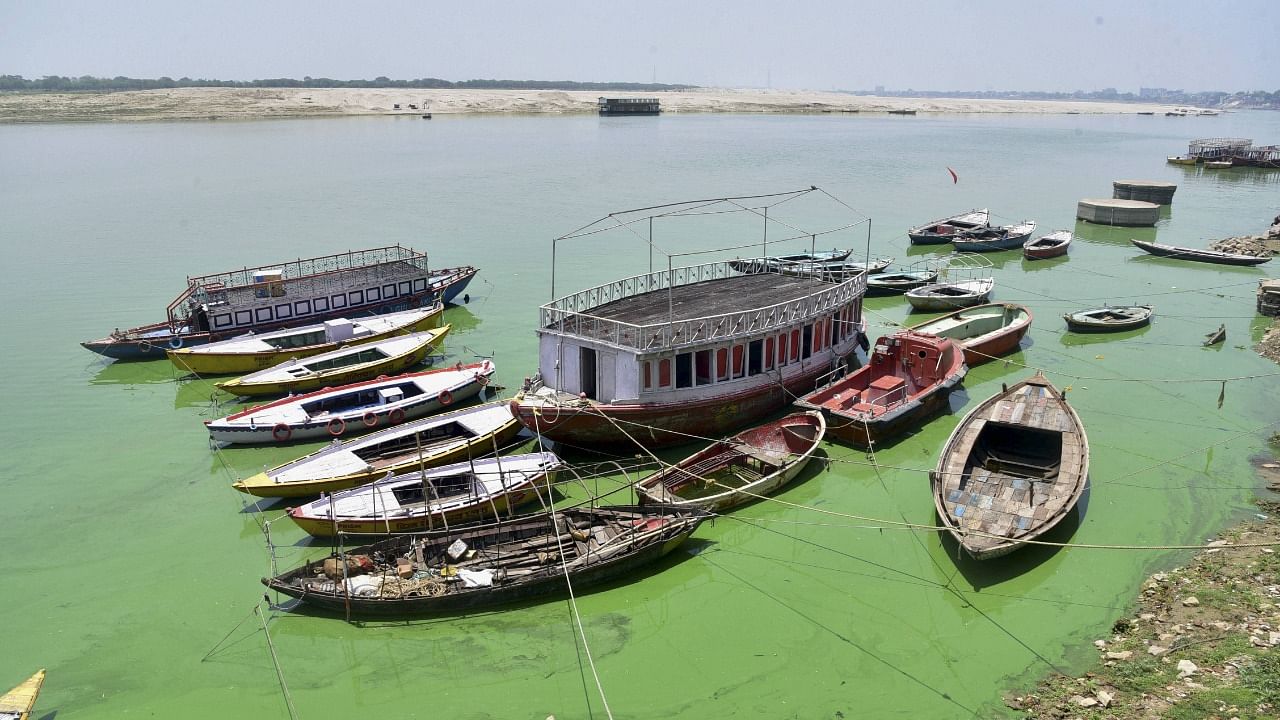 A view of the polluted Ganga river in Varanasi. Credit: PTI Photo