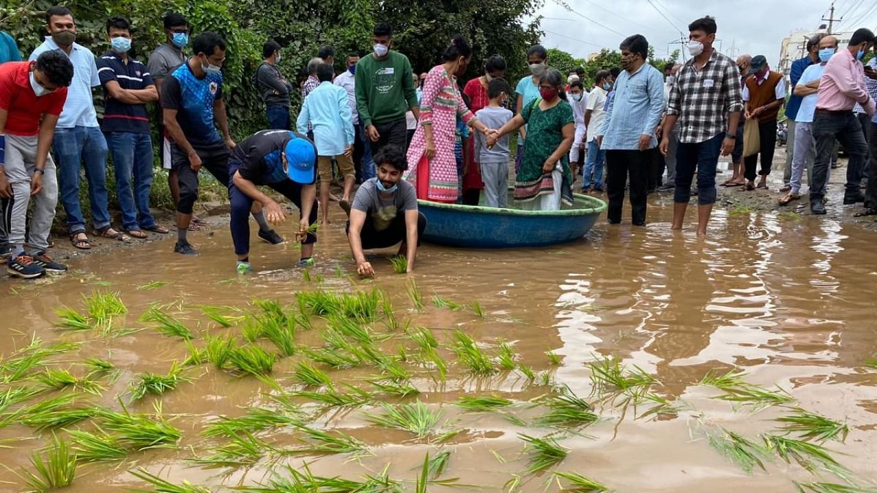 Residents had hired coracles and planted paddy saplings to voice their anger against the bad roads. This had caught the attention of the local MLA and civic body. Credit: DH File Photo