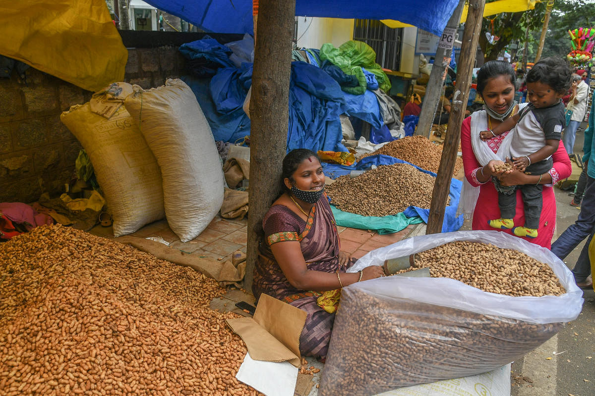 The main attraction this year is the special ‘Belagavi kadalekai’. Credit: DH Photo