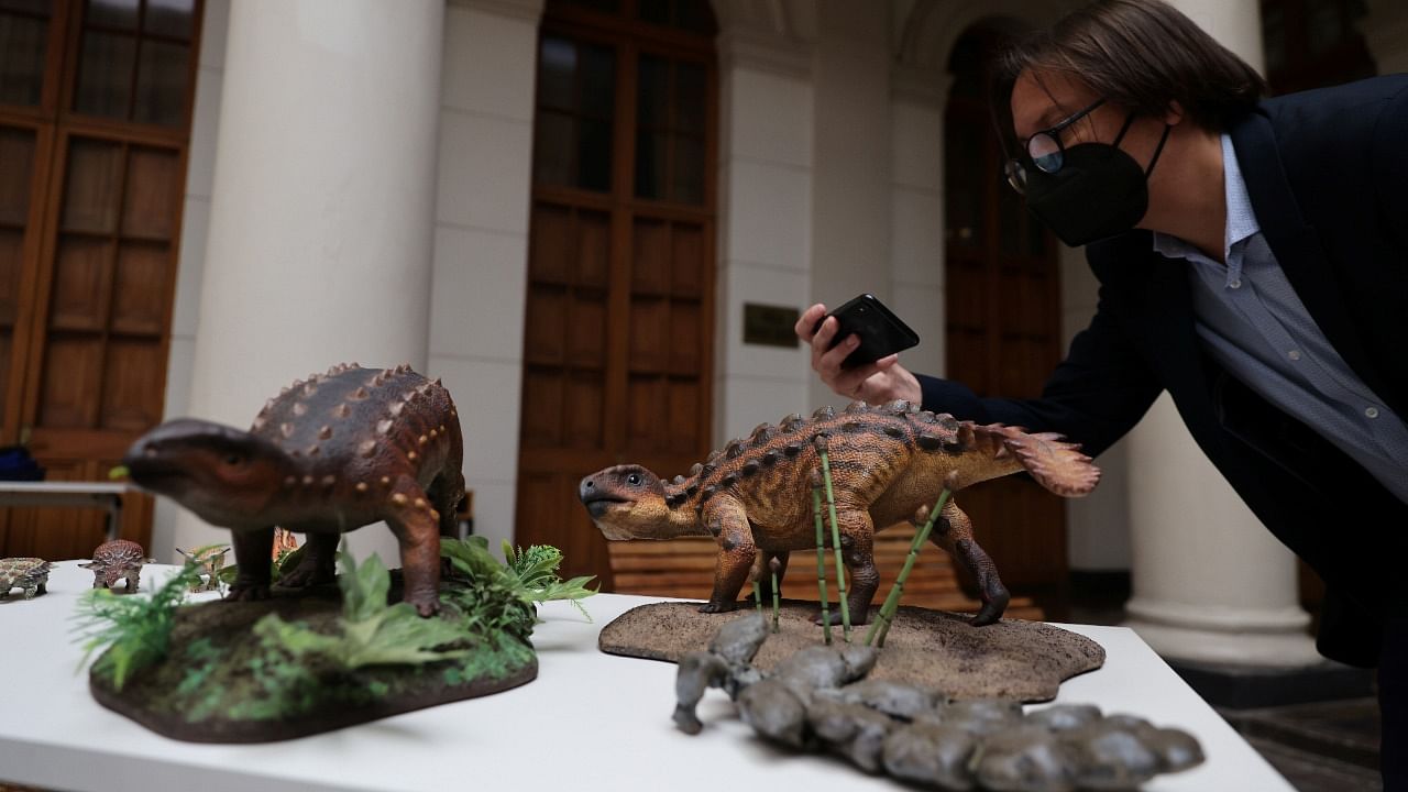 Models of the Stegouros elengassen, a newly identified armored dinosaur that inhabited Chile's Patagonia area, are shown to the media in Santiago, Chile. Credit: Reuters Photo