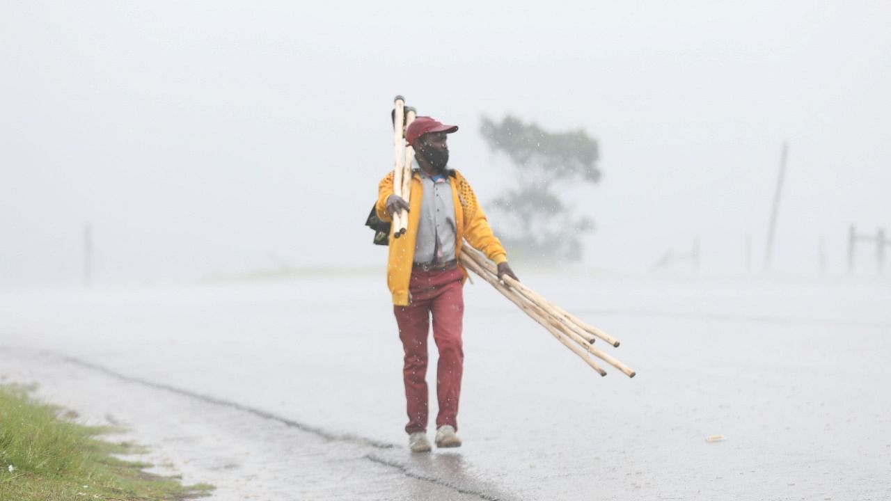 A man walks in the rain selling broom sticks, as the new Omicron coronavirus variant spreads, in Nqamakwe. Credit: Reuters Photo