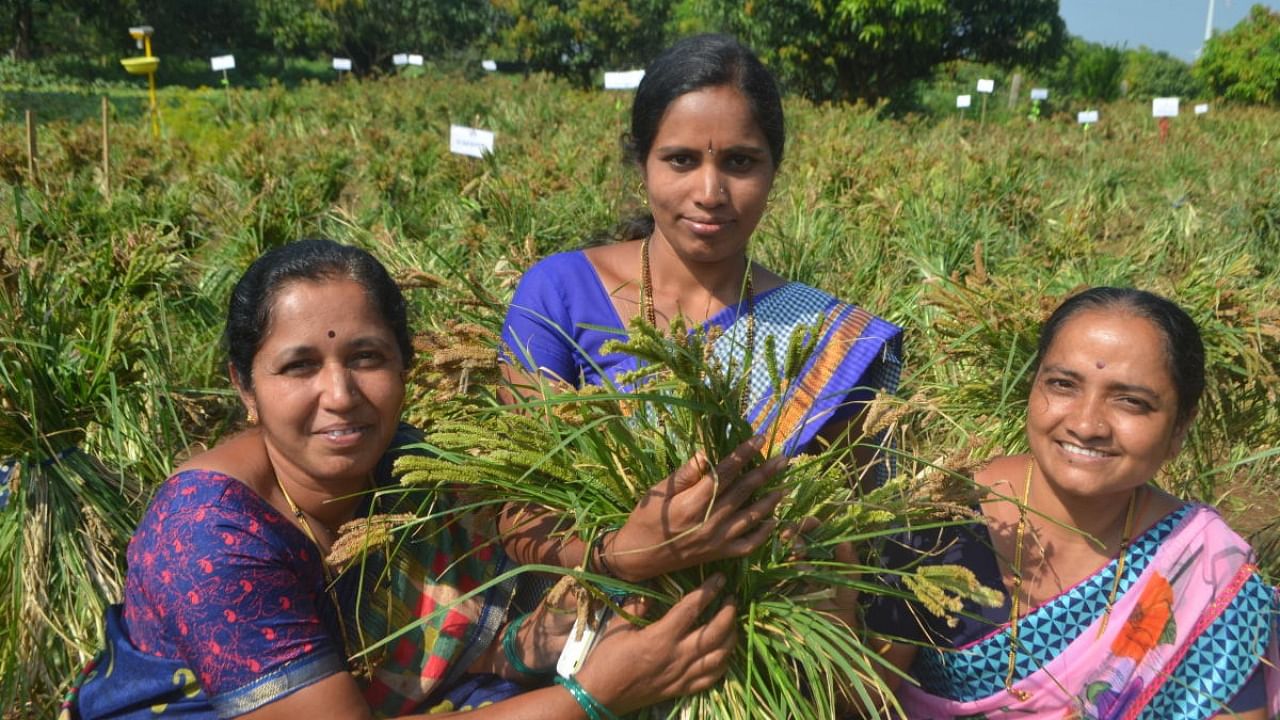 Vinayaka women SHG will setup ragi seed bank.