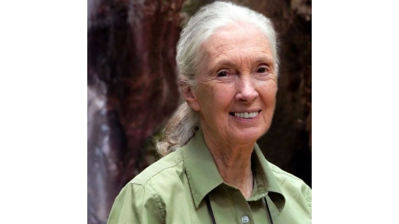 Conservationist Jane Goodall. Credit: Twitter/@JaneGoodallInst