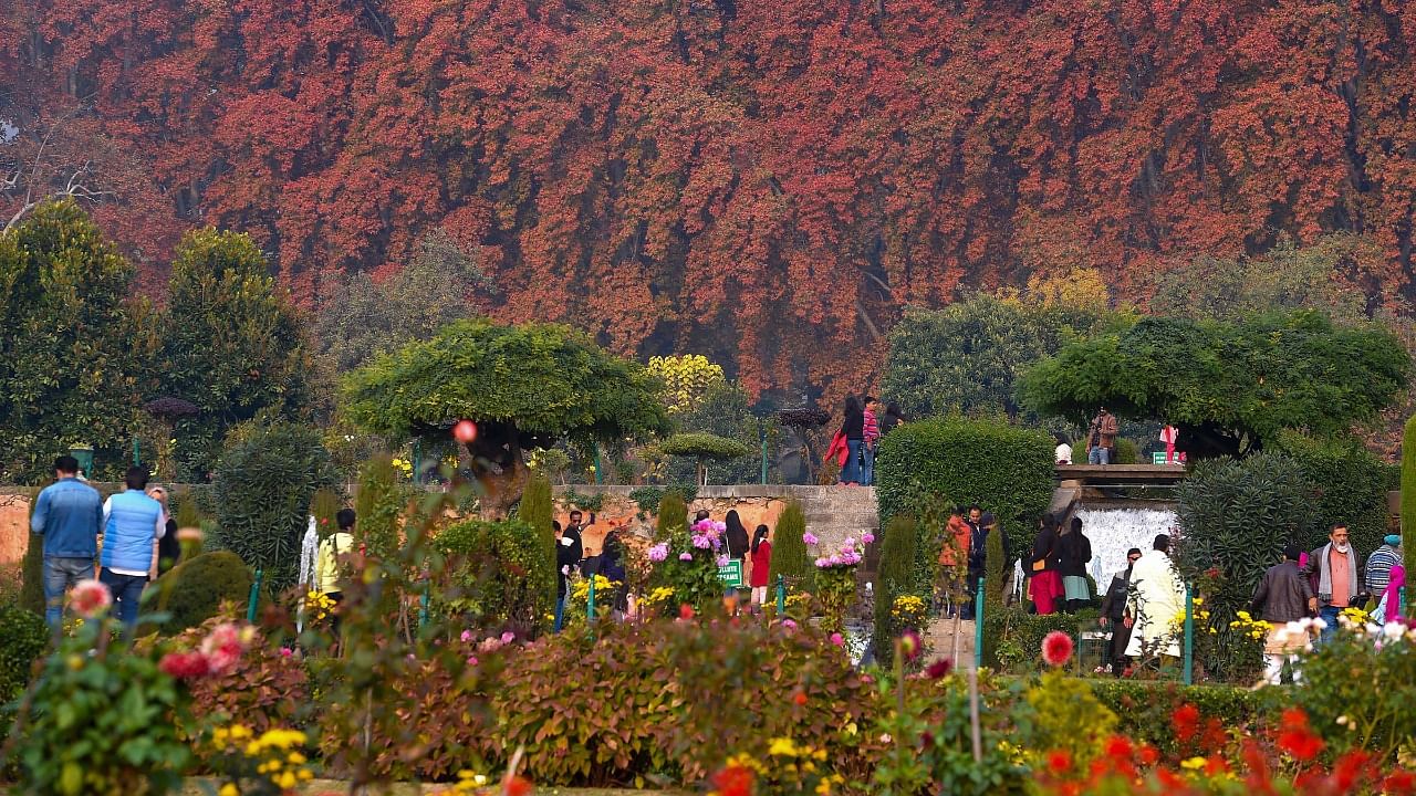Visitors at the Mughal garden during the autumn season, in Srinagar. Credit: PTI Photo