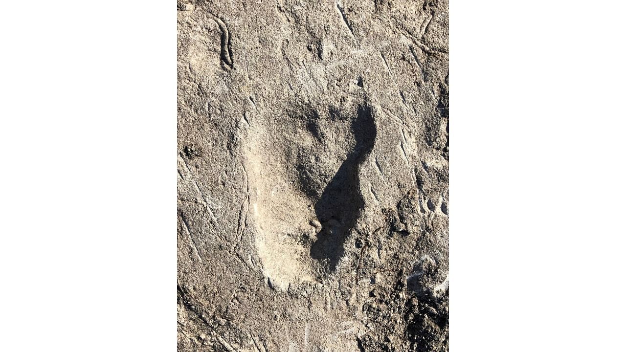 A fossilized footprint dating from 3.66 million years ago from Laetoli. Credit: Reuters Photo