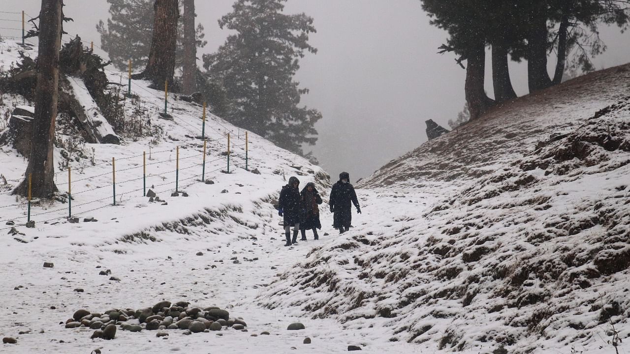 Gulmarg resort in north Kashmir's Baramulla district recorded a minimum temperature of minus 7 degrees Celsius, down over five degrees from minus 1.4 degrees Celsius the previous night. Credit: PTI Photo
