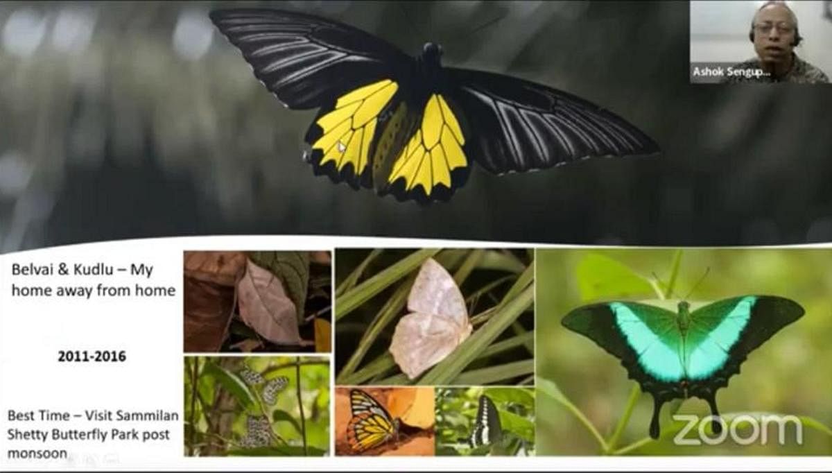 A webinar by teacher and naturalist Ashok Sengupta, held on Monday. It covered his study of butterflies. 