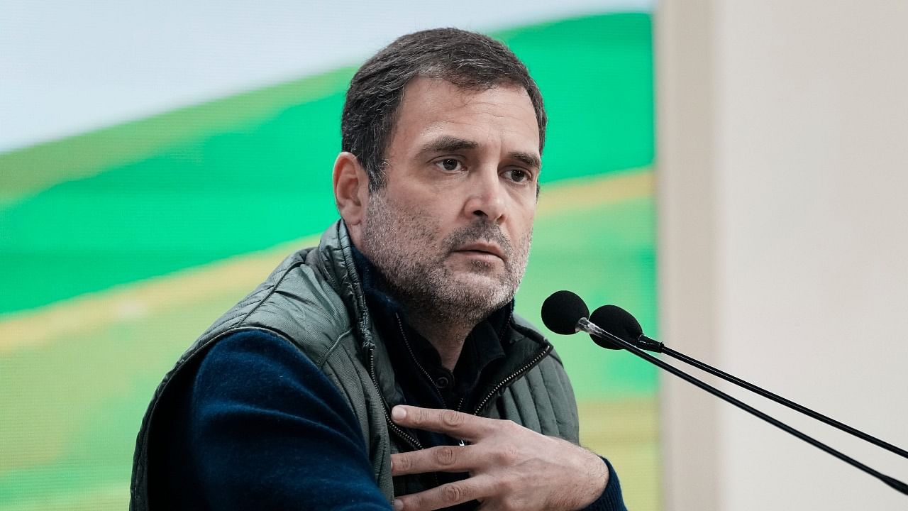 The chorus for Rahul to be reappointed to the post has been growing of late. Credit: PTI Photo